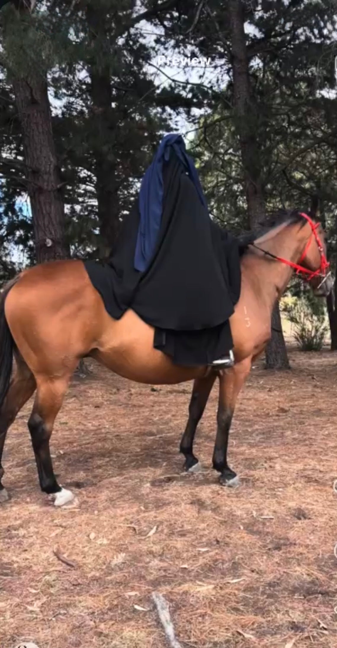 Equestrian Skirt - Jetblack