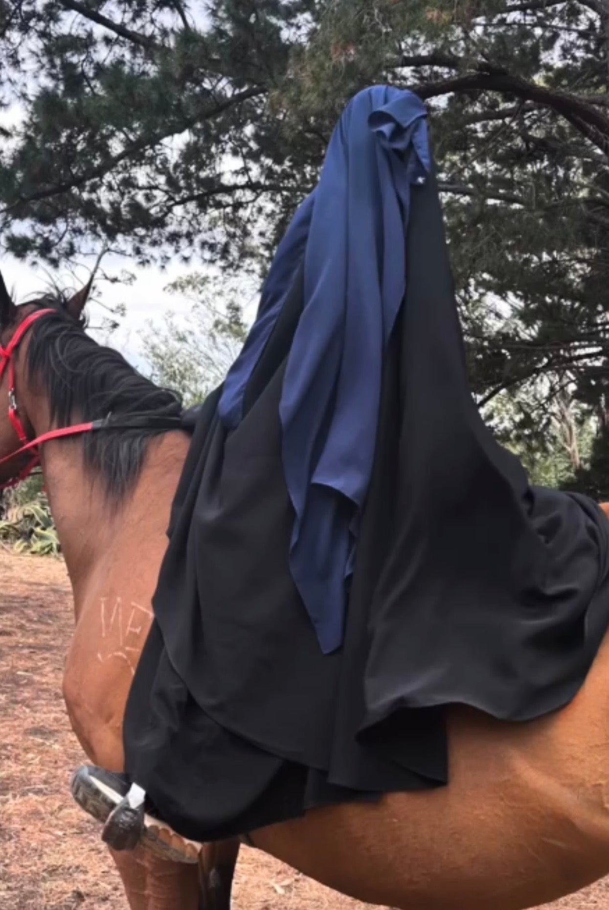 Equestrian Skirt - Jetblack