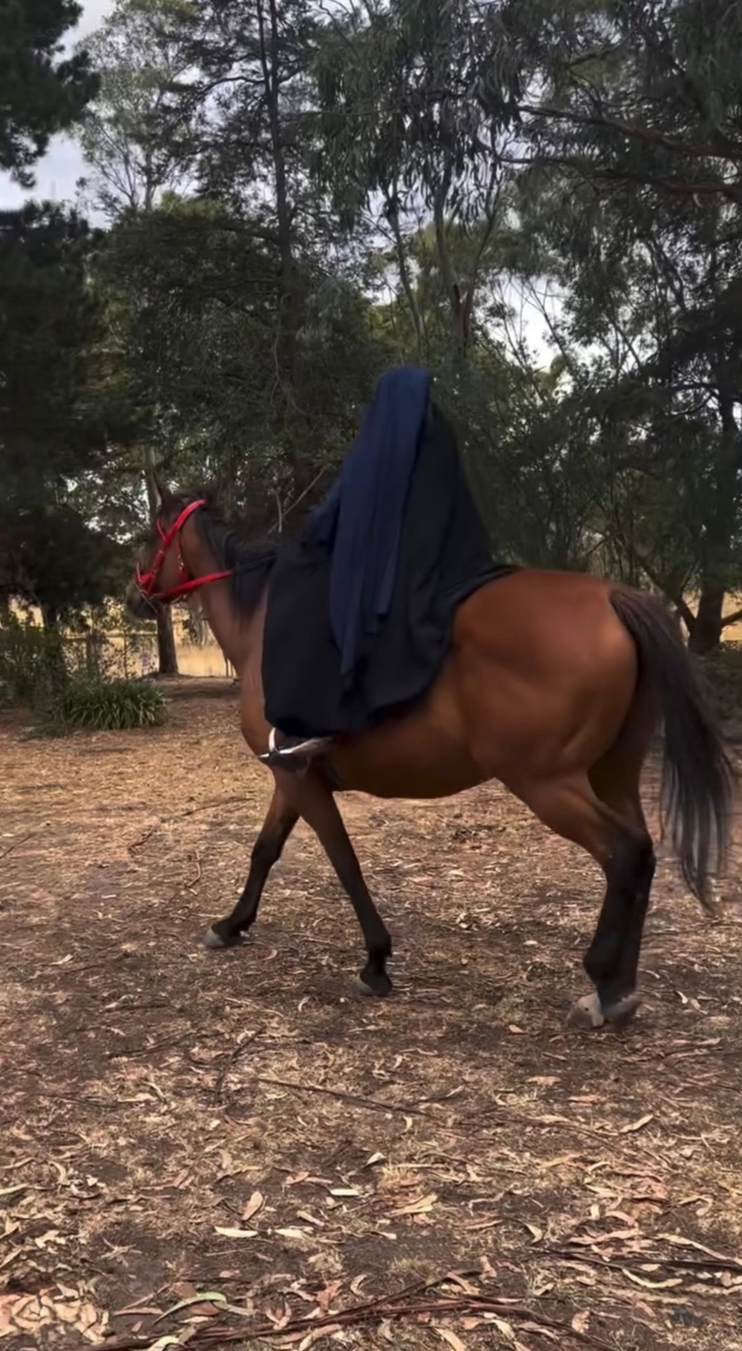 Equestrian Skirt - Jetblack